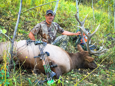 Successful Elk Hunts in Colorado