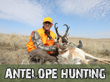 Colorado Antelope Hunts