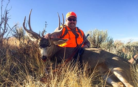 Best Mule Hunts in CO