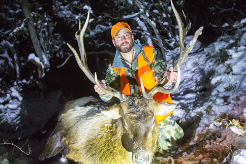 Guided Colorado Elk Hunt