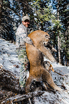 Mountain Lion Hunting Colorado