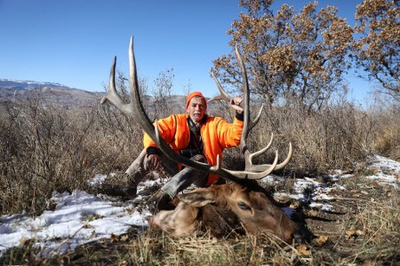 Colorado Elk Hunting