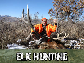 Colorado Elk Hunts