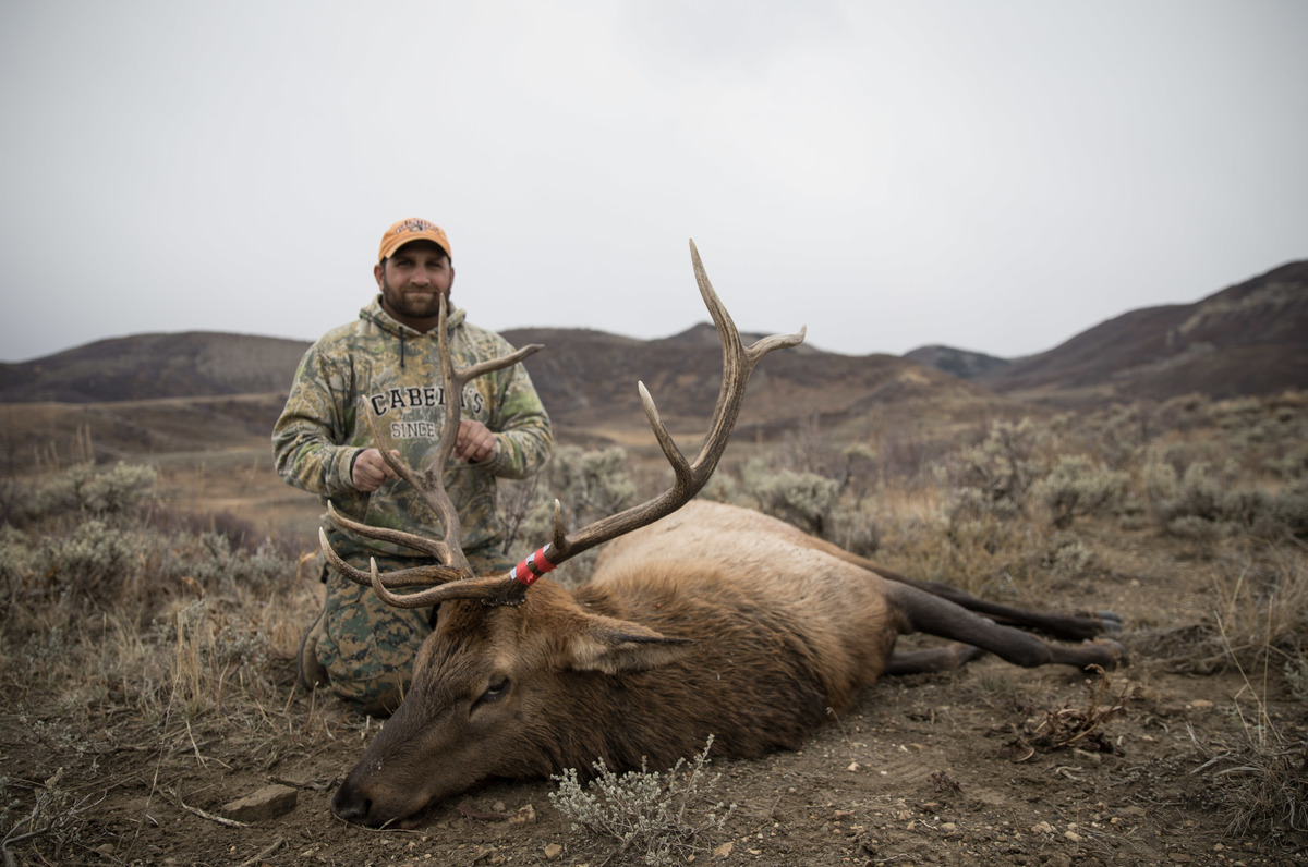 Colorado Elk Hunting | Rocky Mountain Ranches
